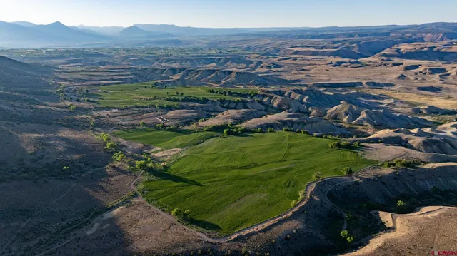 a view of a lush green hillside and houses