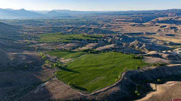 a view of a lush green hillside and houses