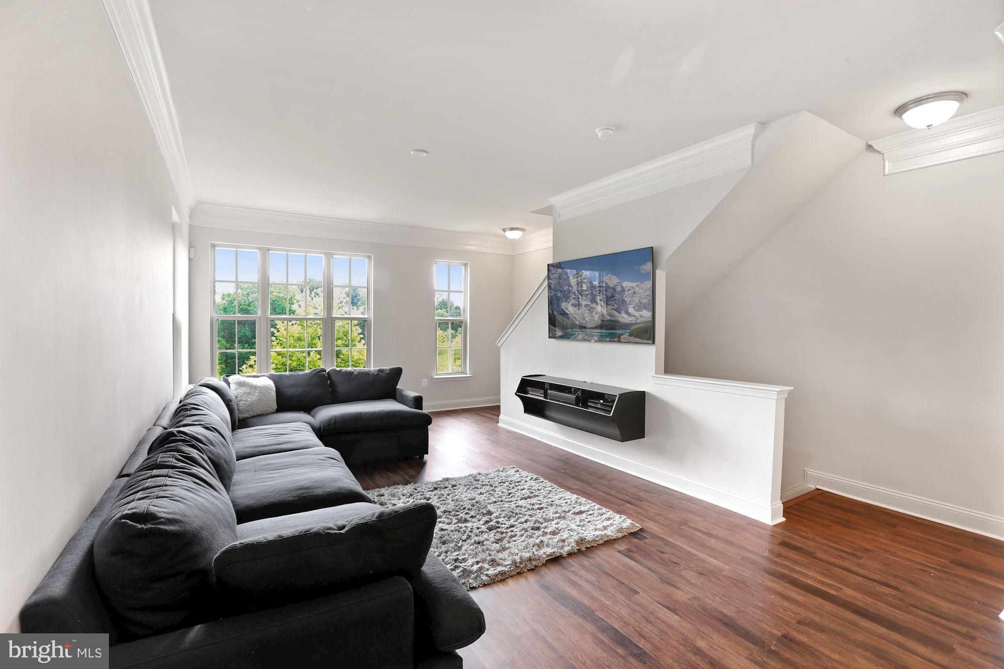 4600 Potomac Highlands Circle Triangle, VA 22172 - Photo 11 of 33 Shelf under TV and TV mount convey!