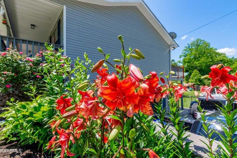 600 Hilltop Road Spring City, TN 37381 - Photo 6 of 46 Gallery Image 6