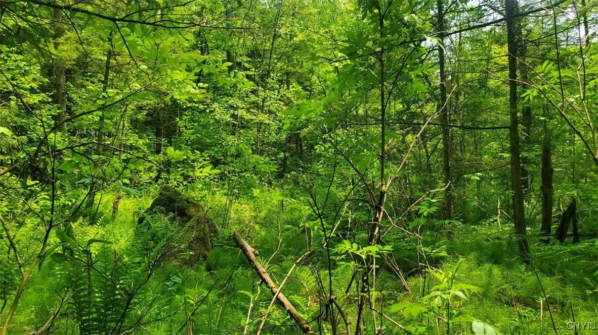 0 Kiwanis Road Taberg, NY 13471 - Photo 10 of 12