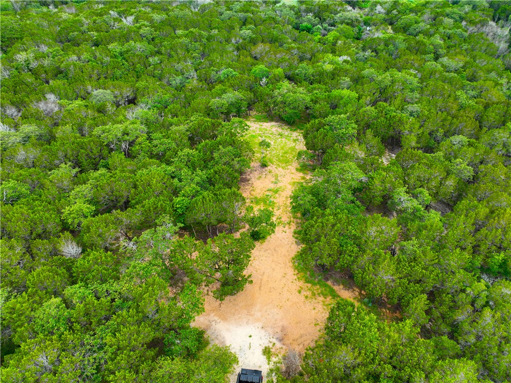 0 County Road 1409 Road Morgan, TX 76671 - Photo 11 of 17