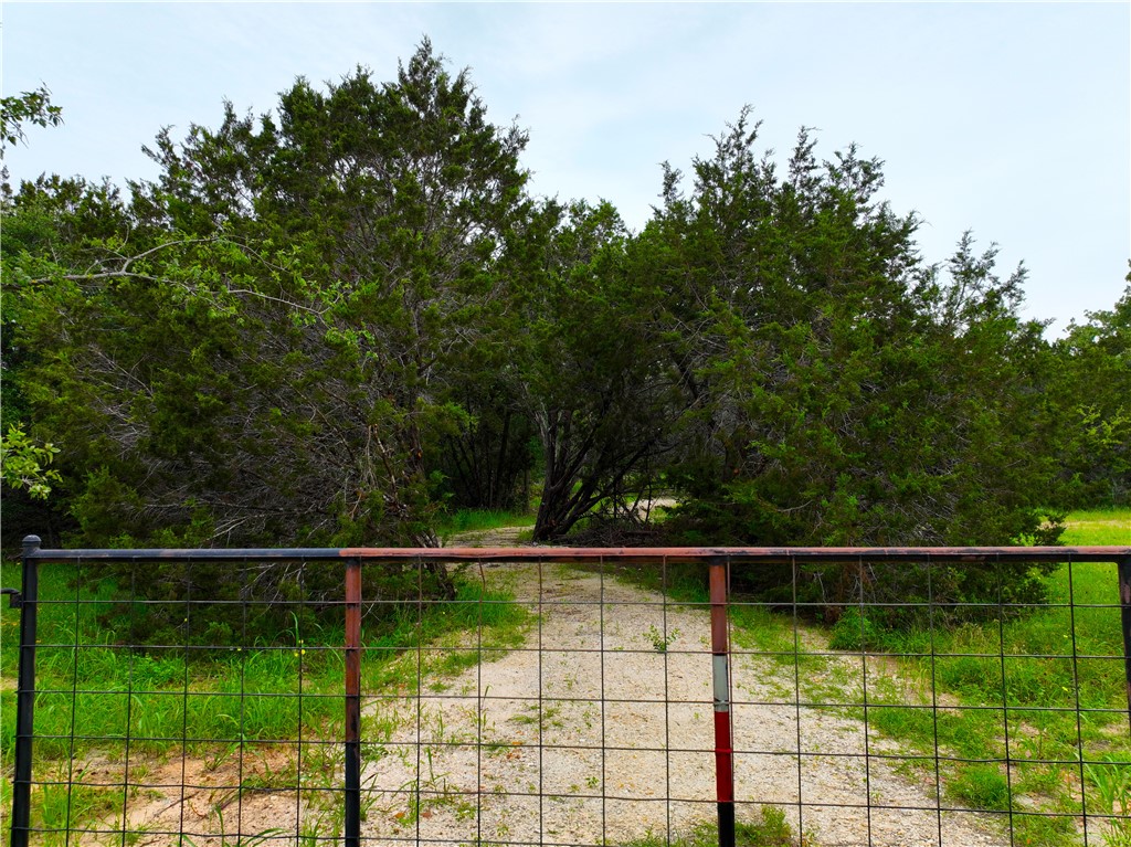 0 County Road 1409 Road Morgan, TX 76671 - Photo 2 of 17