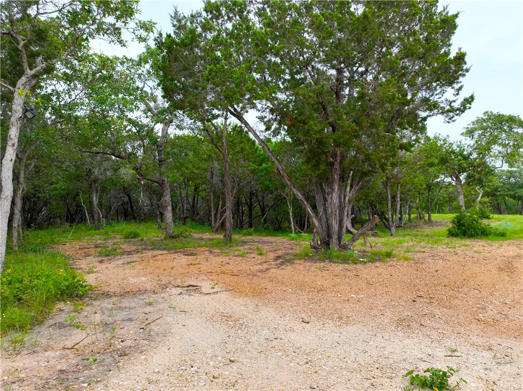 0 County Road 1409 Road Morgan, TX 76671 - Photo 4 of 17
