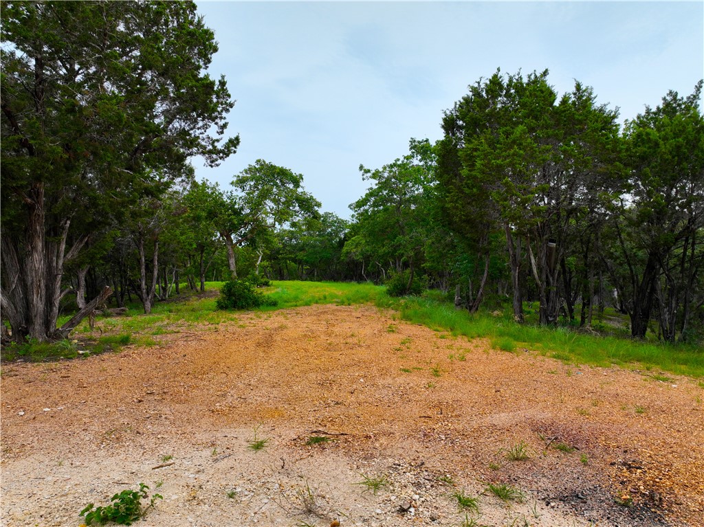 0 County Road 1409 Road Morgan, TX 76671 - Photo 5 of 17