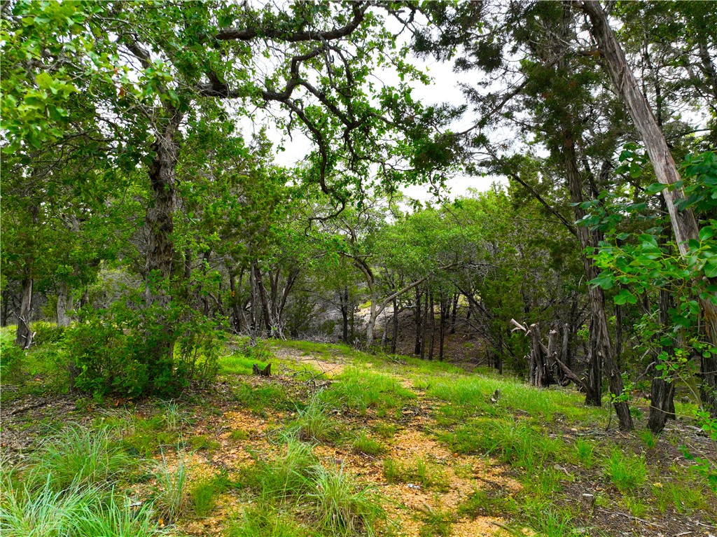 0 County Road 1409 Road Morgan, TX 76671 - Photo 6 of 17