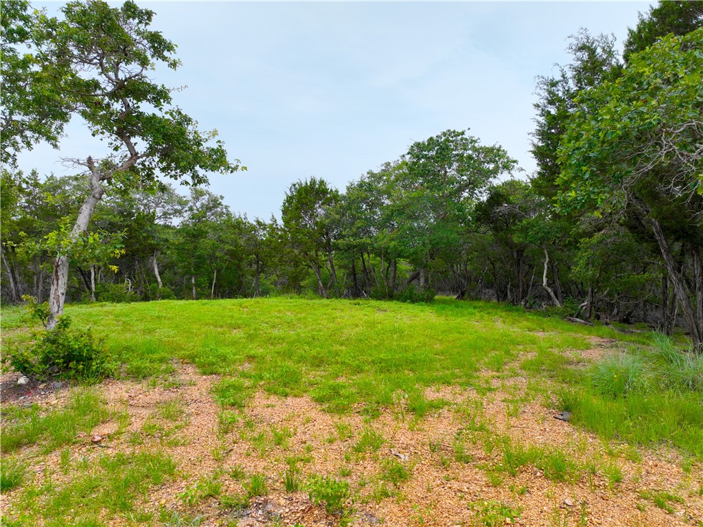 0 County Road 1409 Road Morgan, TX 76671 - Photo 7 of 17