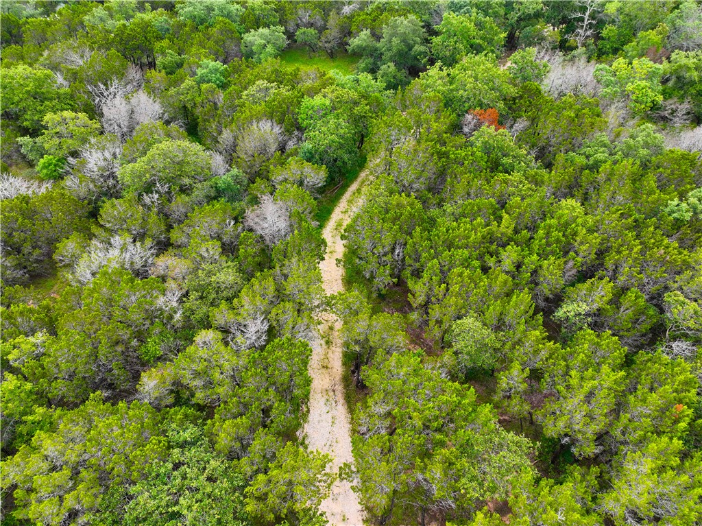 0 County Road 1409 Road Morgan, TX 76671 - Photo 10 of 17