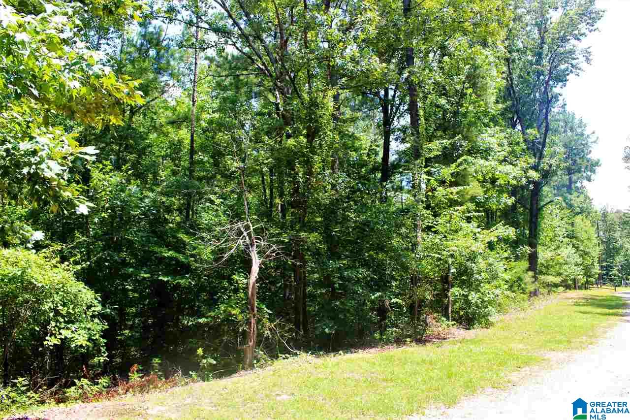 1334 Cherokee Road, Unit 7 Pell City, AL 35128 - Photo 1 of 6