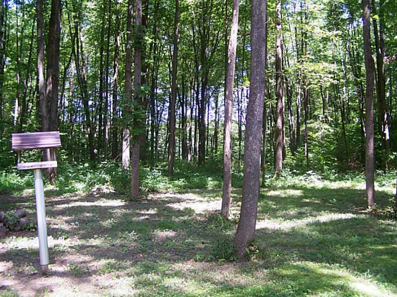 2475 South Cataract Road Spencer, IN 47460 - Photo 24 of 24 Gallery Image 24