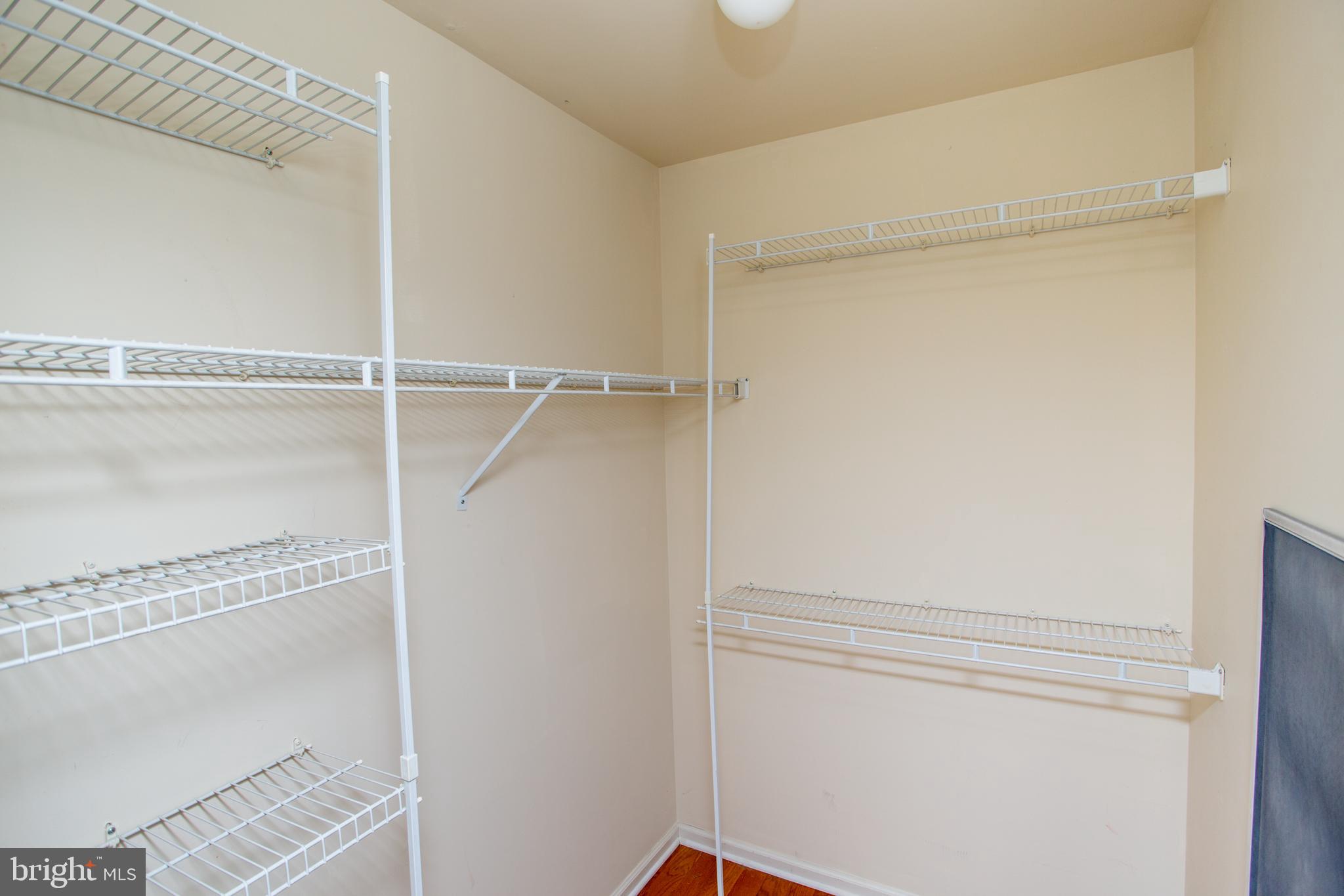 363 Birdsong Way Doylestown, PA 18901 - Photo 31 of 58 bedroom 4 walk in closet