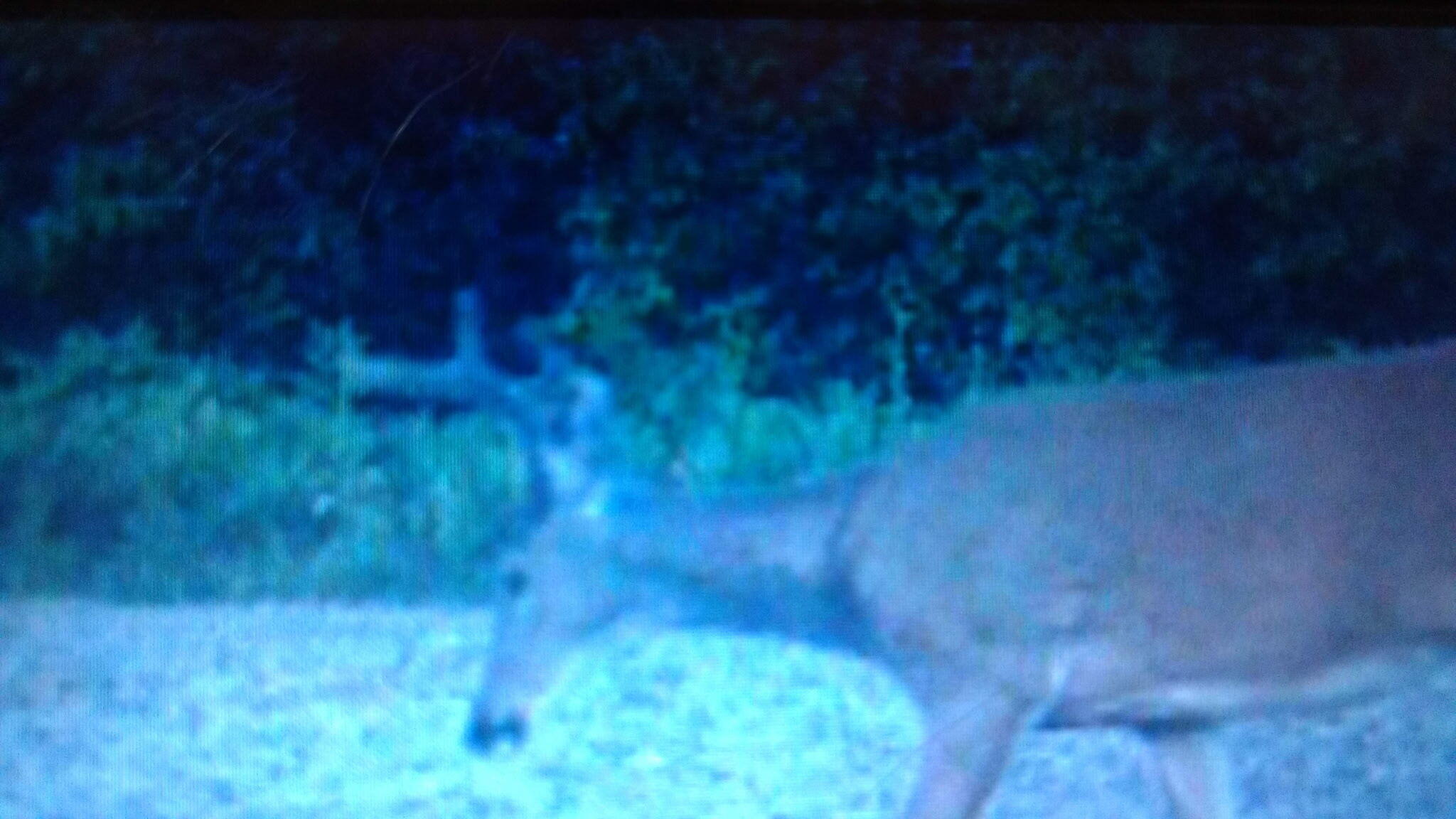 0 West Tee Lake Road Germfask, MI 49836 - Photo 23 of 29 Gallery Image 23
