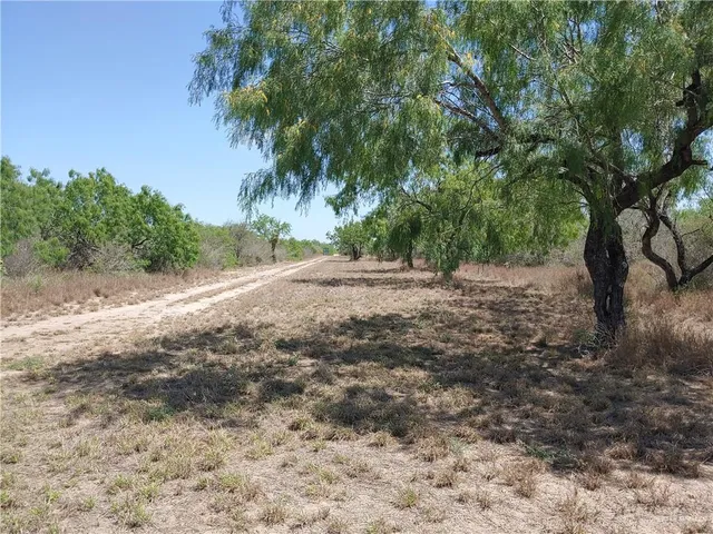 $1,500,000 | 0 North Mile 7 North, Penitas, TX 78576