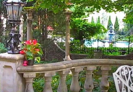 a backyard of a house with lots of green space and plants