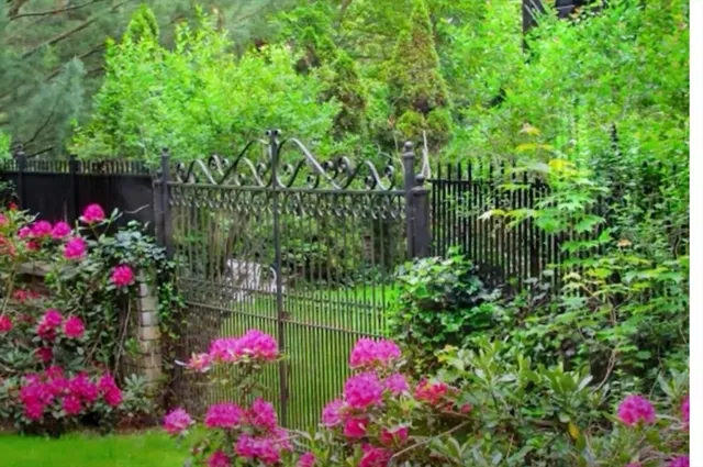 a view of a flower in a garden