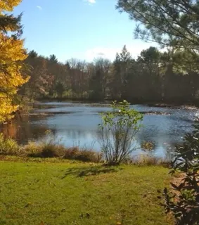 a view of a lake from a yard