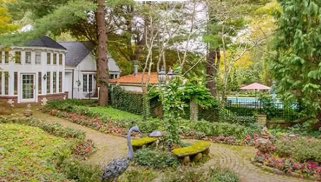 a view of a garden with plants and large trees