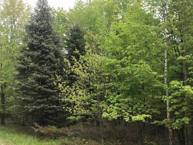 Island View Road Fish Creek, WI 54212 - Photo 13 of 13