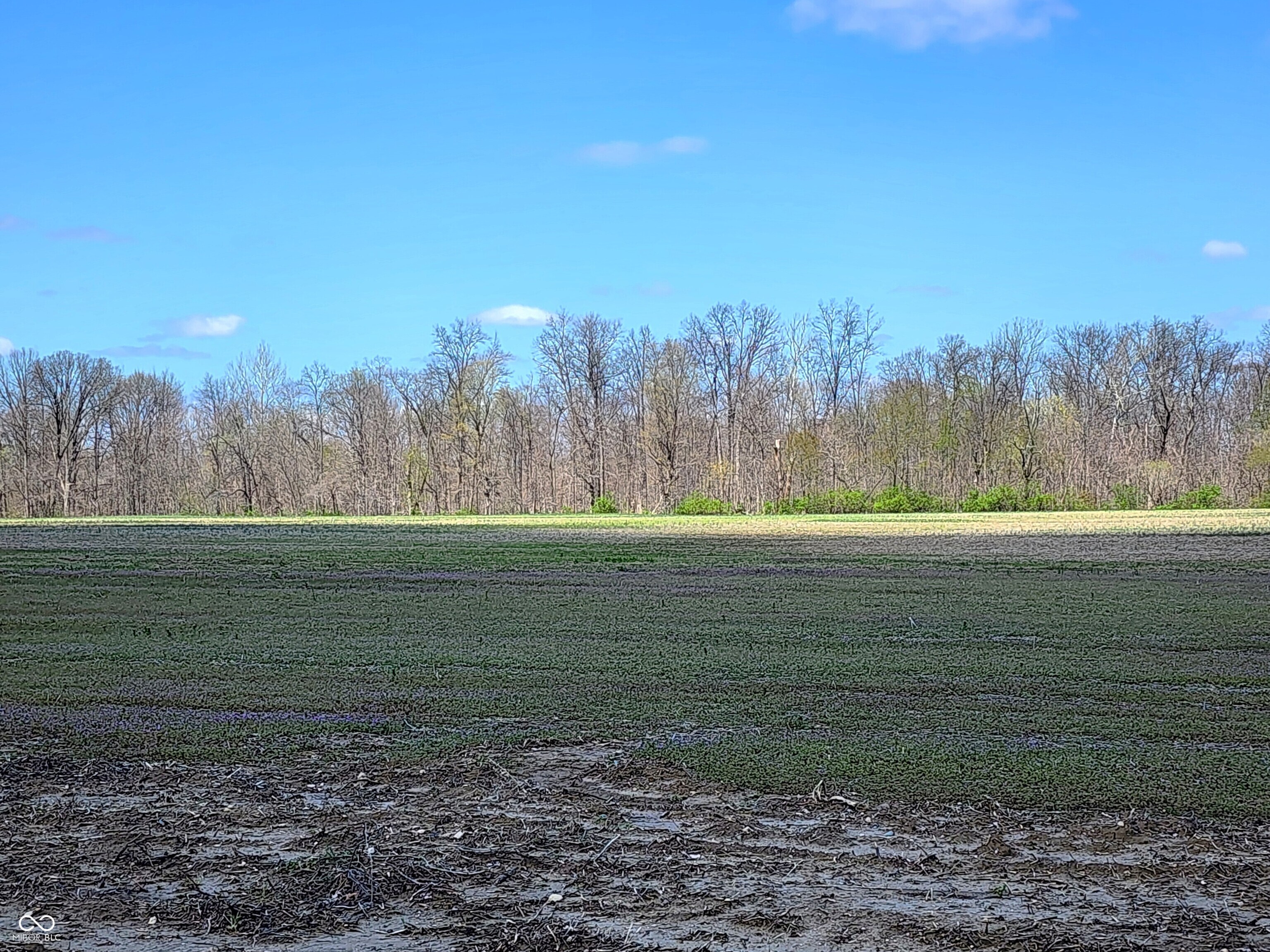 Lot 4 Legacy Estates Road Mooresville, IN 46158 - Photo 7 of 13