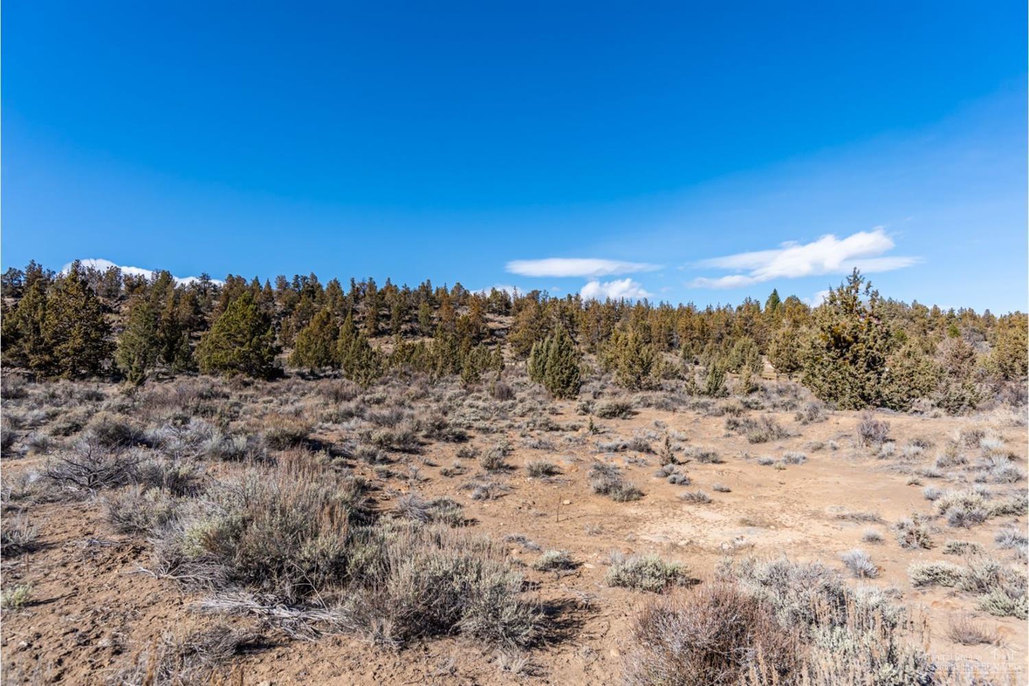 65233 Smokey Butte Road Bend, OR 97703 - Photo 14 of 15 Additional Photo