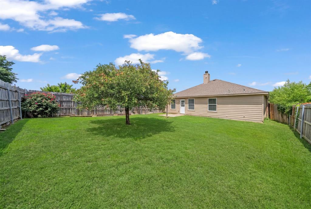 834 Hazel's Way Anna, TX 75409 - Photo 18 of 21 Expansive green lawn with a mature shade tree, fully enclosed by a wood privacy fence