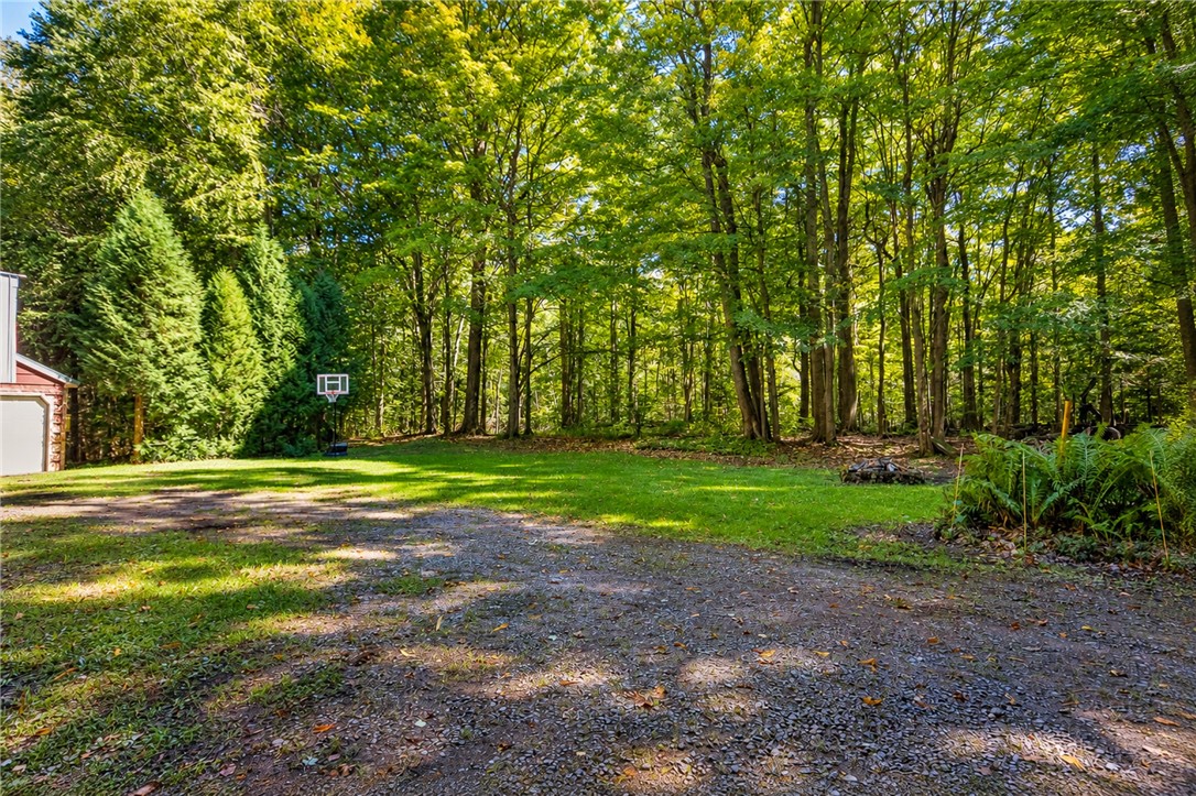 6708 Lake Bluff Road Huron, NY 14516 - Photo 10 of 41 front yard