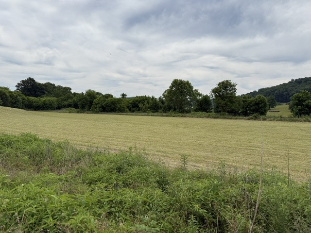 200 Max Lane Rickman, TN 38580 - Photo 52 of 54