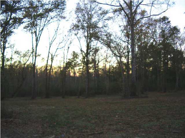 135 Henderson Road DeFuniak Springs, FL 32433 - Photo 13 of 14 a view of backyard with green space