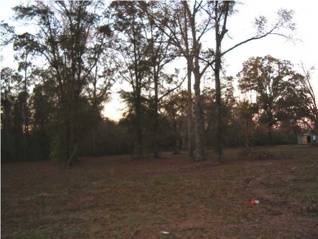 135 Henderson Road DeFuniak Springs, FL 32433 - Photo 14 of 14 a view of outdoor space and yard