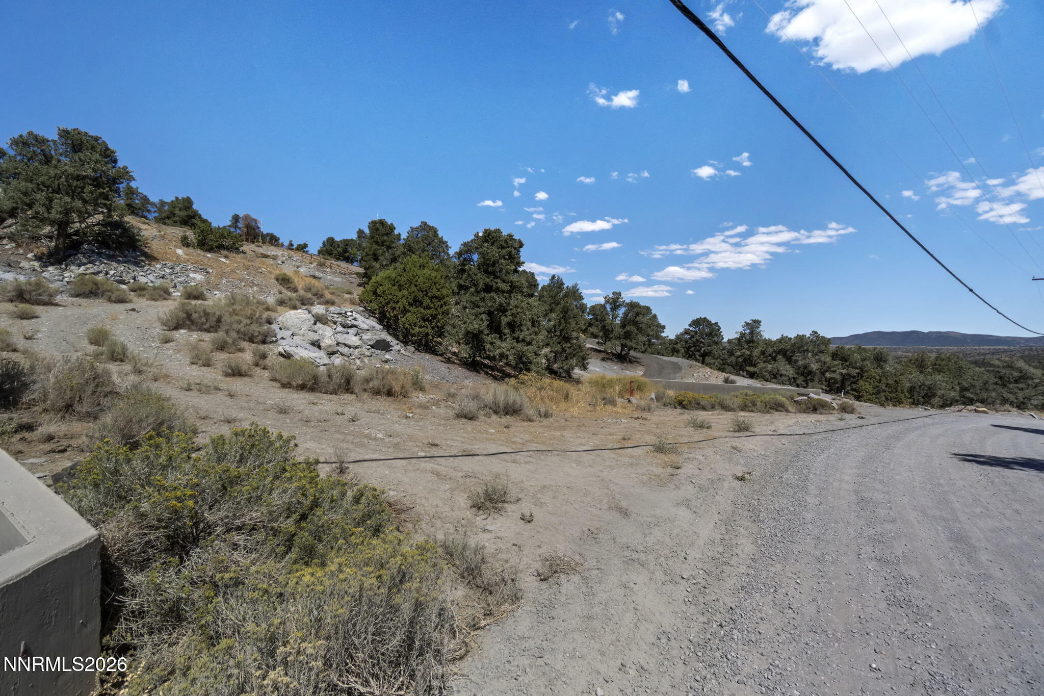 21490 Sazarac Road Reno, NV 89521 - Photo 10 of 13 a view of a dry yard with trees