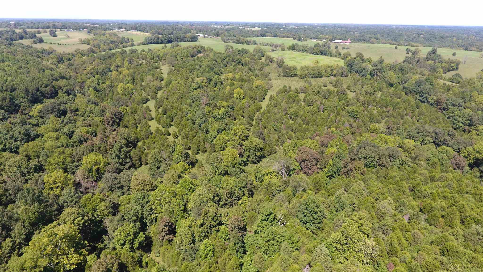 59.02 Acres Stewart Ridge Road Sparta, KY 41086 - Photo 9 of 30