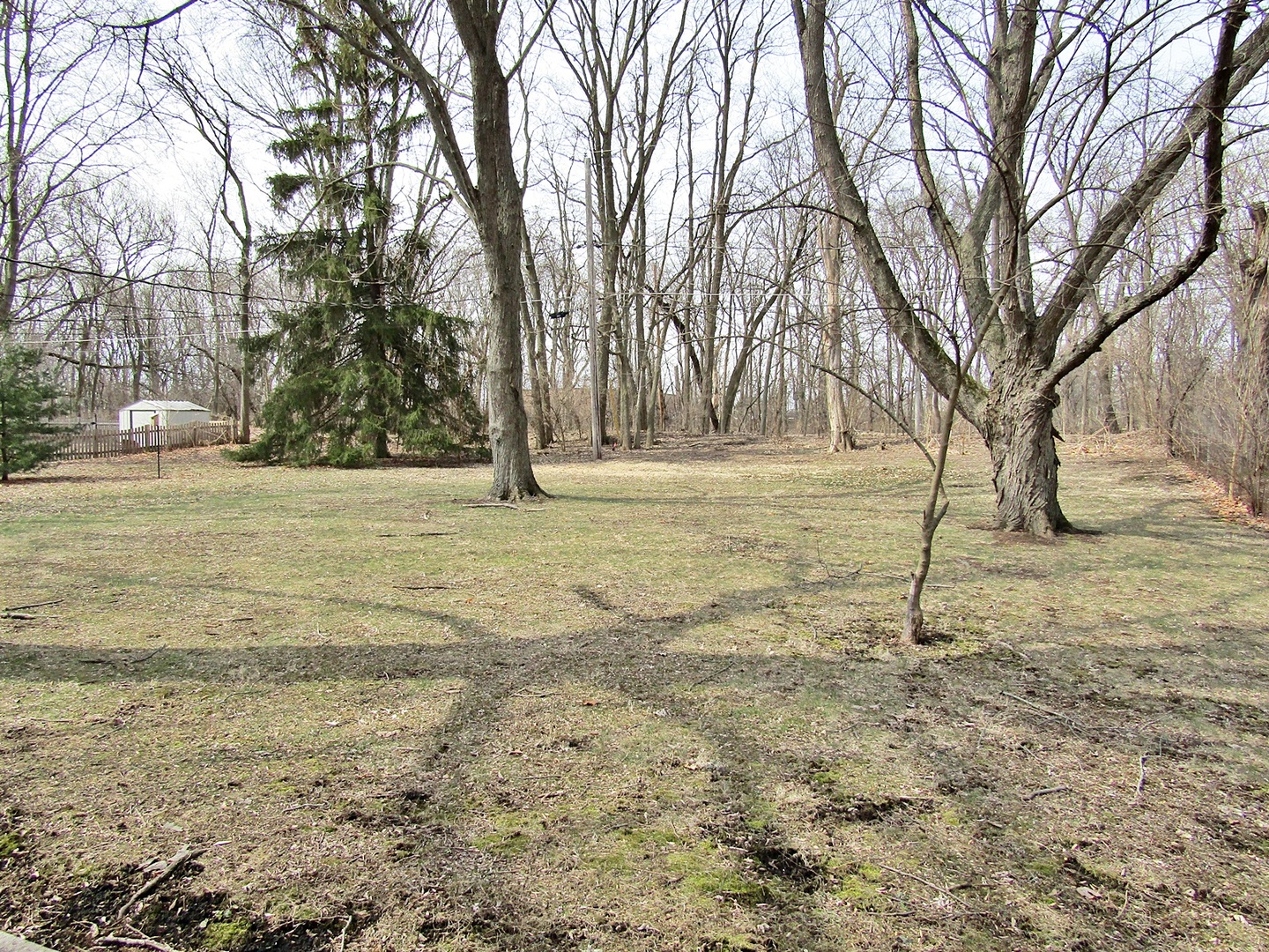 1408 Dunstan Road Geneva, IL 60134 - Photo 19 of 21 a view of a yard with a tree