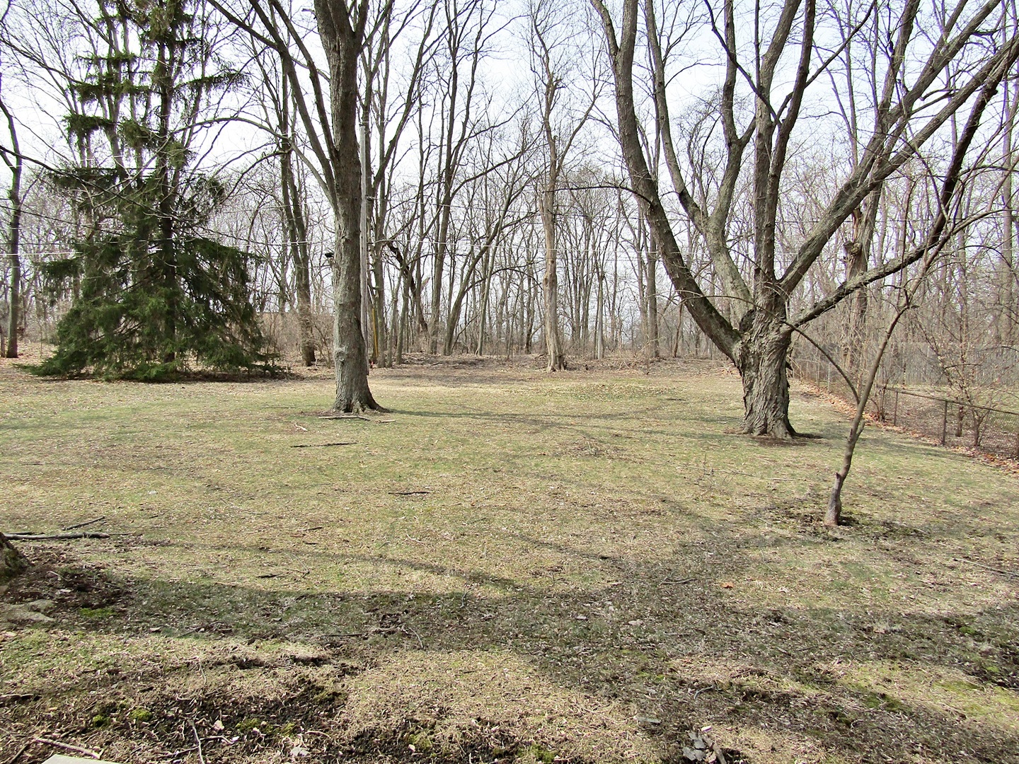1408 Dunstan Road Geneva, IL 60134 - Photo 20 of 21 a view of empty space with trees