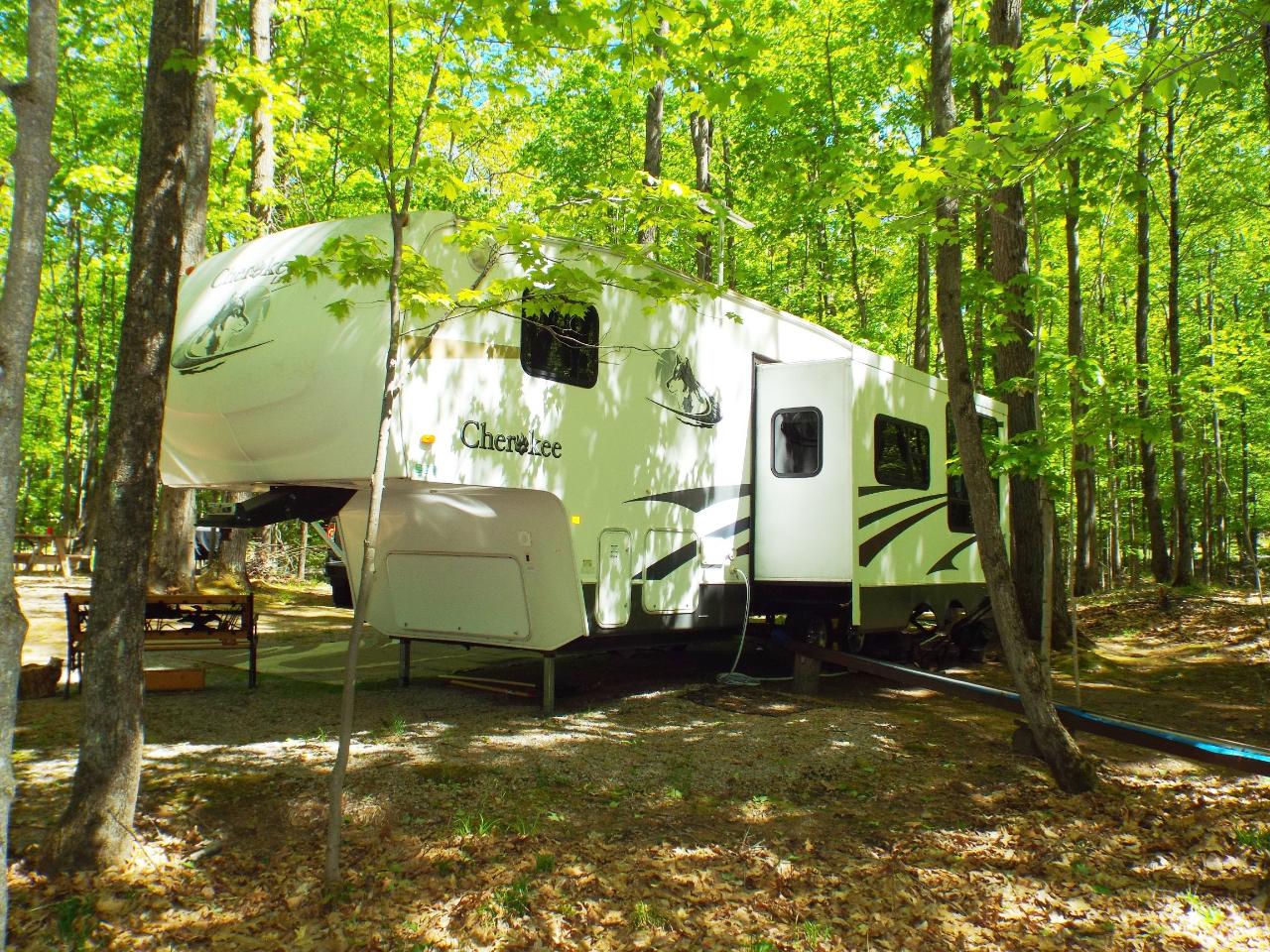 7343 Wheeler Island Road Three Lakes, WI 54562 - Photo 9 of 22 Gallery Image 9
