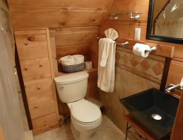 a bathroom with a toilet and a shower
