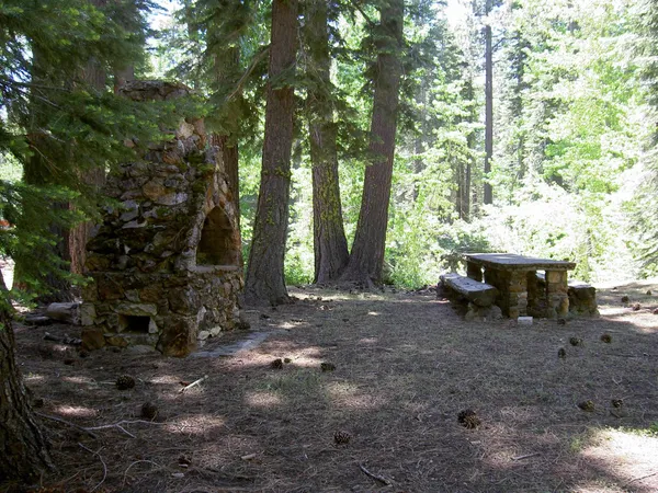 a view of backyard with green space