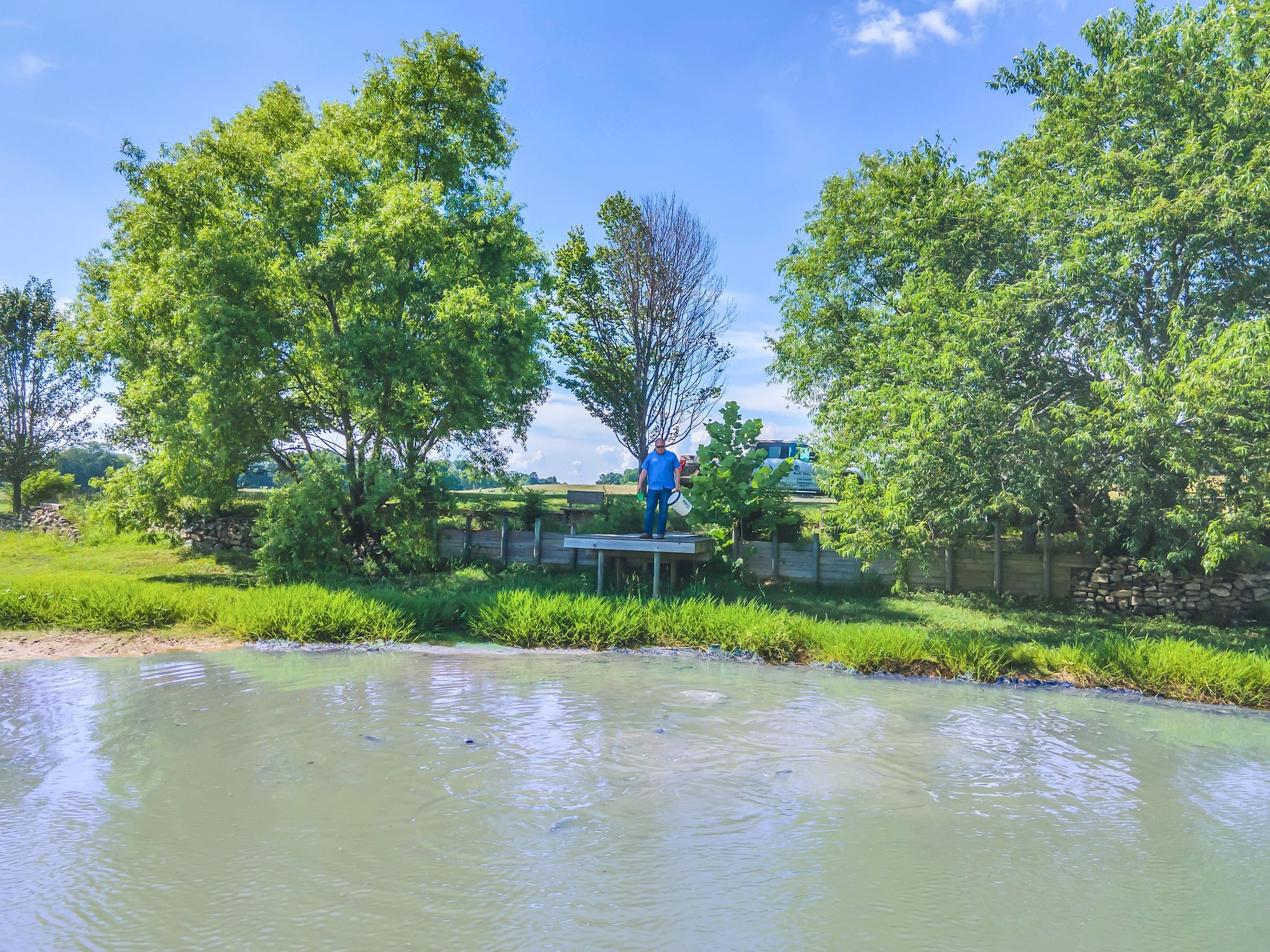 284 Firetower Road Pulaski, TN 38478 - Photo 54 of 58 a view of a park