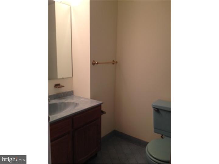 113 Haddonfield Cmns Haddonfield, NJ 08033 - Photo 11 of 16 Bathroom