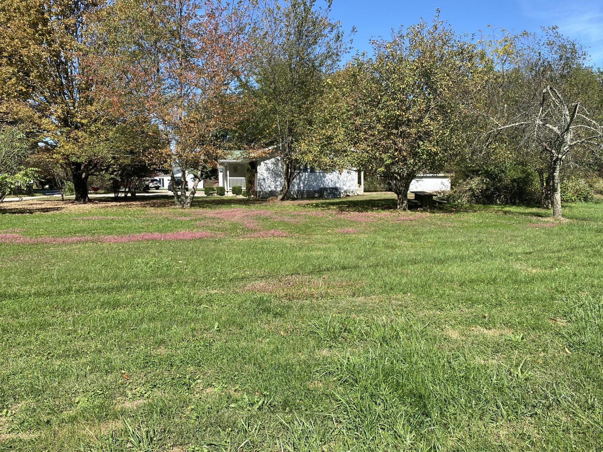1126 Hamilton Field Road Jamestown, TN 38556 - Photo 10 of 33 Gallery Image 10