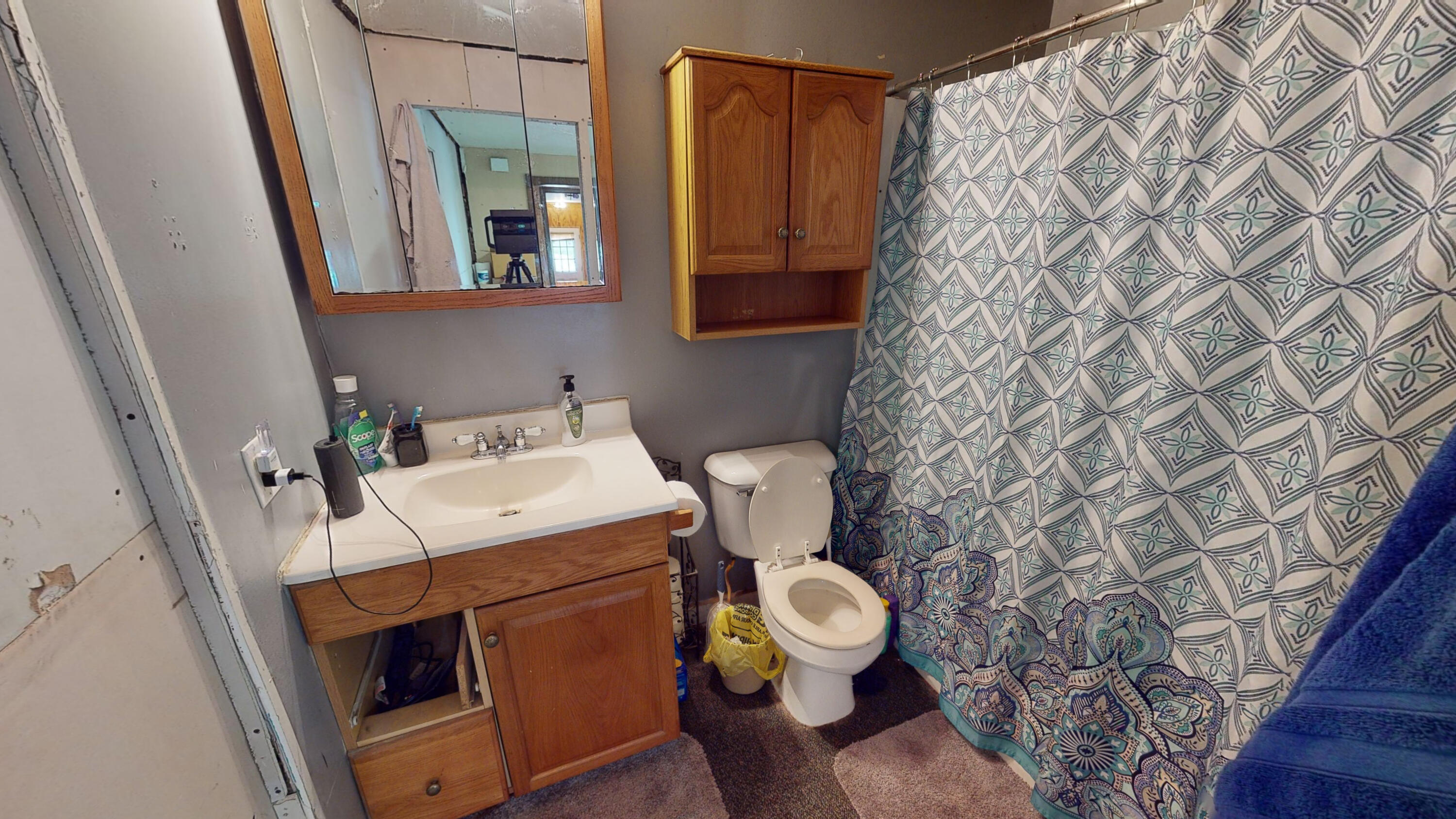 7942 North Ransom Road Breckenridge, MI 48615 - Photo 24 of 44 1z7942-Ransom-Rd-05202023_175813