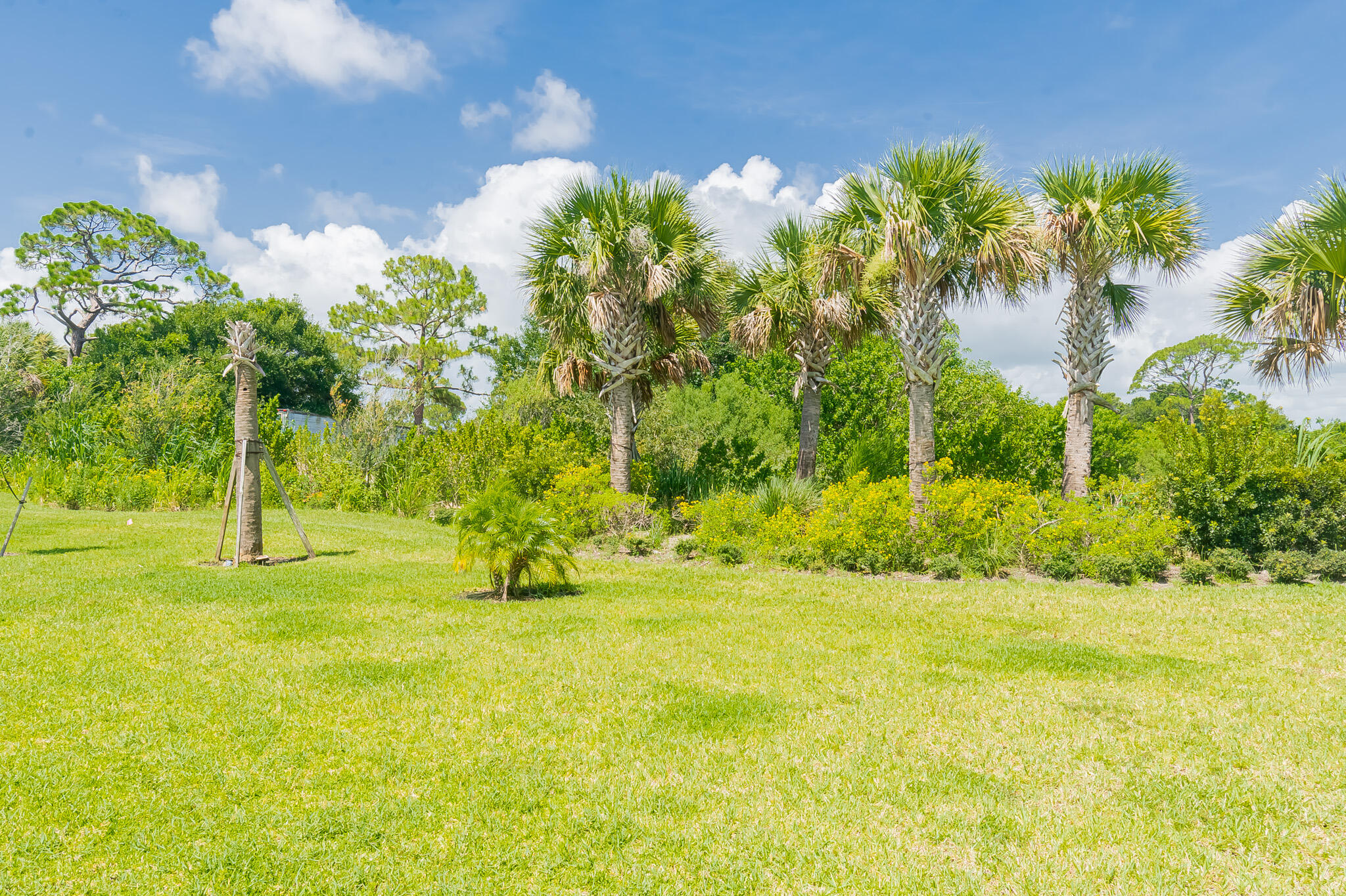 331 Raspberry Road Fort Pierce, FL 34981 - Photo 17 of 29 DSC_5351-HDR
