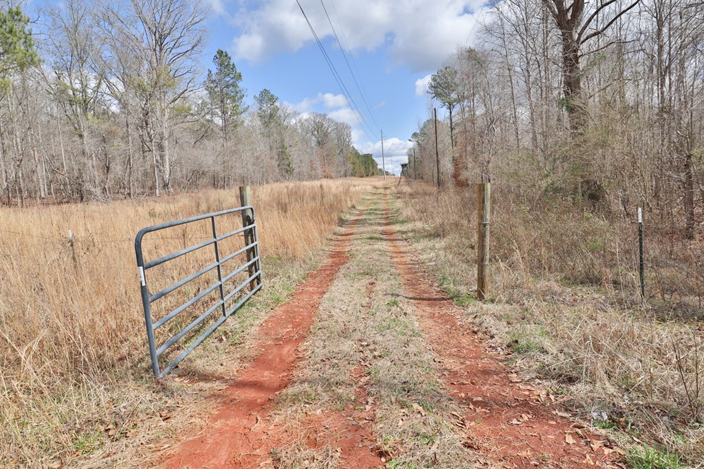 0 Irvin Road Shiloh, GA 31826 - Photo 18 of 46 Gallery Image 18