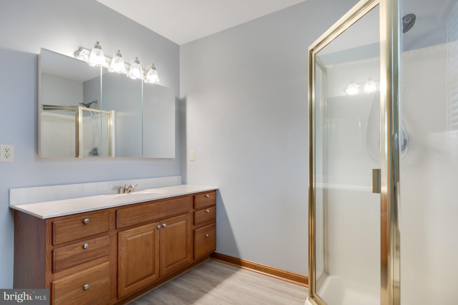 12168 Holly Road Ridgely, MD 21660 - Photo 15 of 46 Master Bathroom