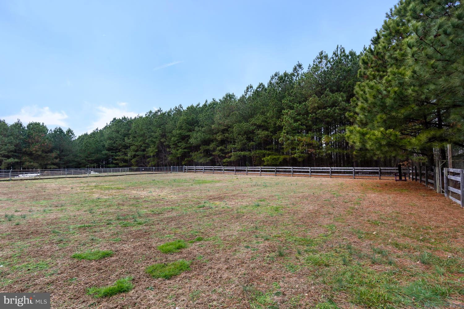 12168 Holly Road Ridgely, MD 21660 - Photo 30 of 46 Fenced rear yard
