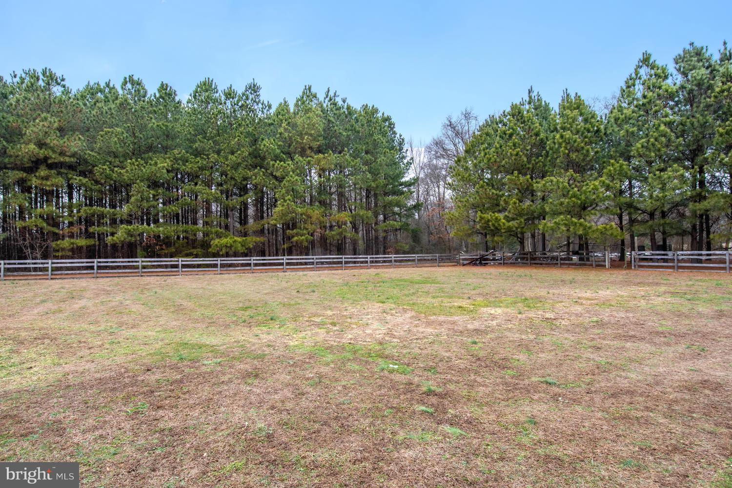 12168 Holly Road Ridgely, MD 21660 - Photo 31 of 46 Fenced rear yard