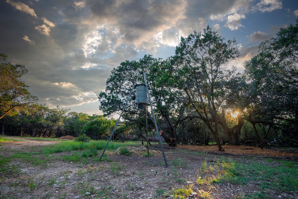 1347 Gold Road Wimberley, TX 78676 - Photo 7 of 39 Gallery Image 7