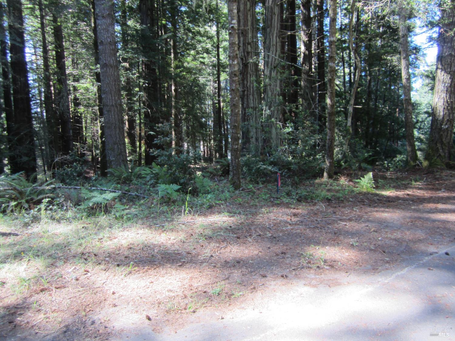 398 Packet Close The Sea Ranch, CA 95497 - Photo 8 of 14