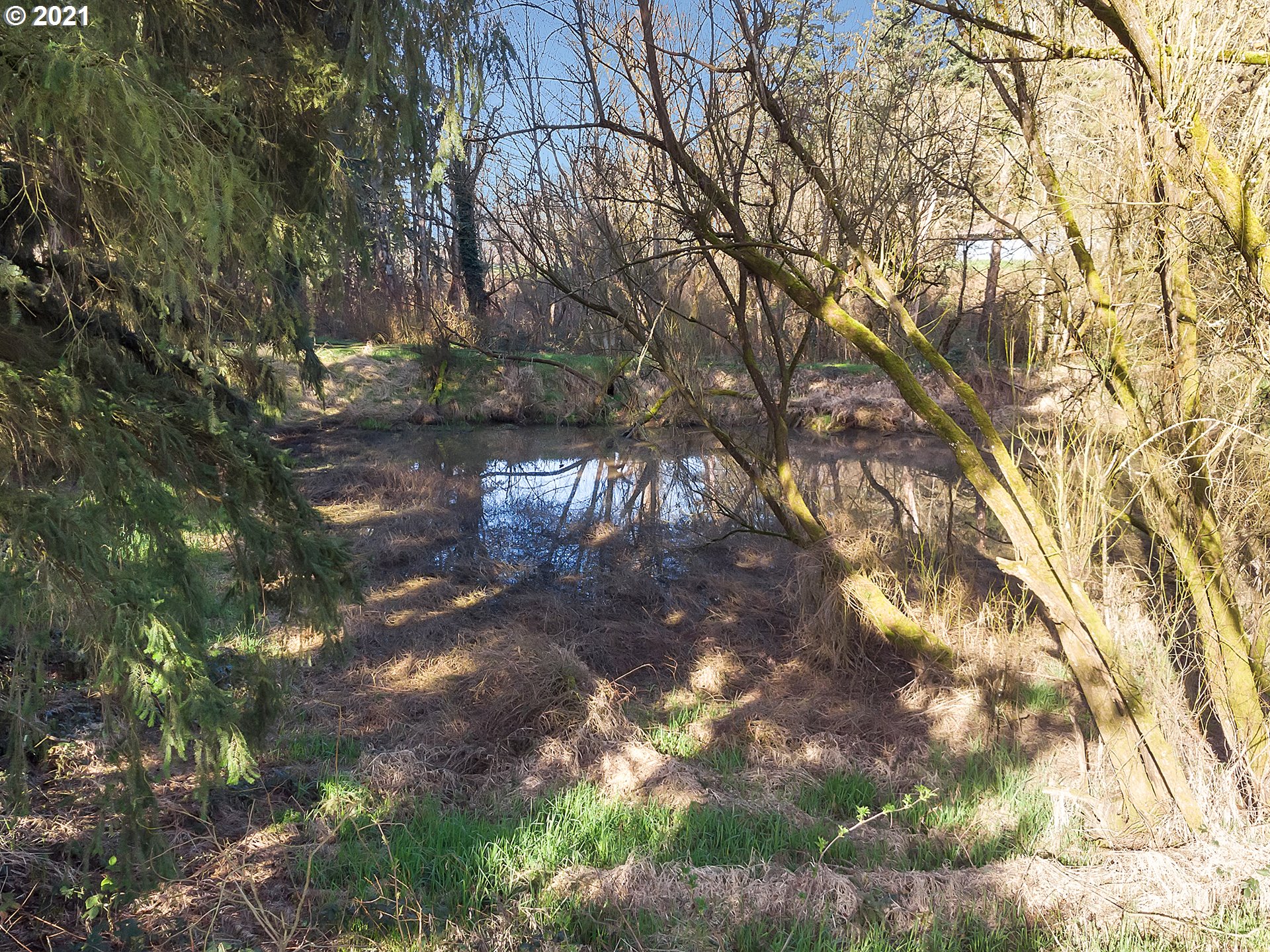 19809 Southwest Aten Road Beaverton, OR 97007 - Photo 31 of 32
