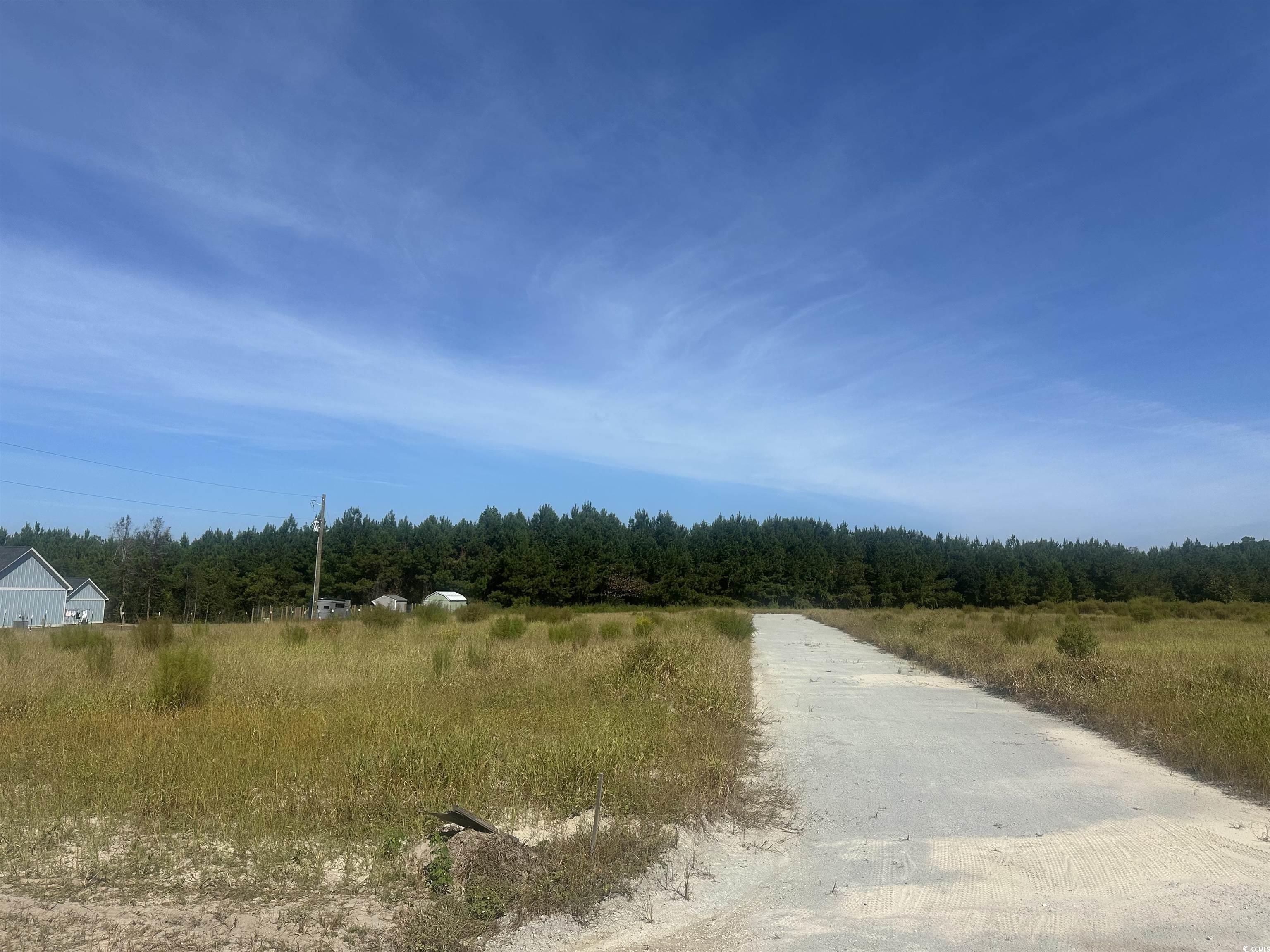 Tbd Tansy Road Loris, SC 29569 - Photo 2 of 8