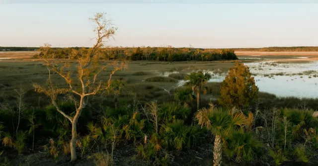 $2,395,000 | 1124 Ship Builder Street, Charleston, SC 29492